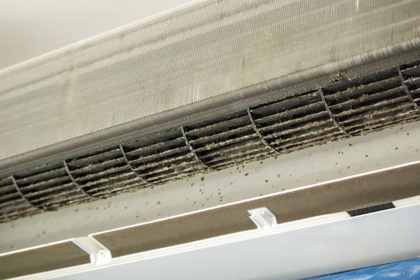 Best Affordable HVAC Duct Cleaning  in Lake Wilderness, VA